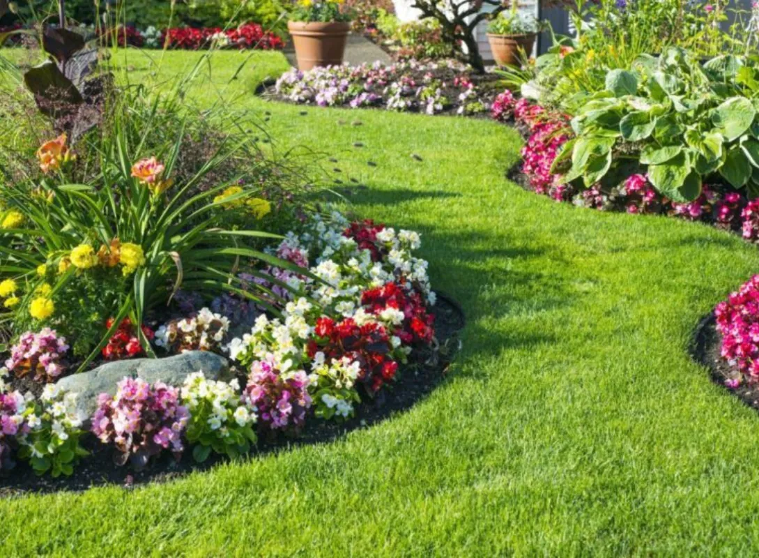 Choosing Between Soft Landscaping and Hard Landscaping for Your Perth Home